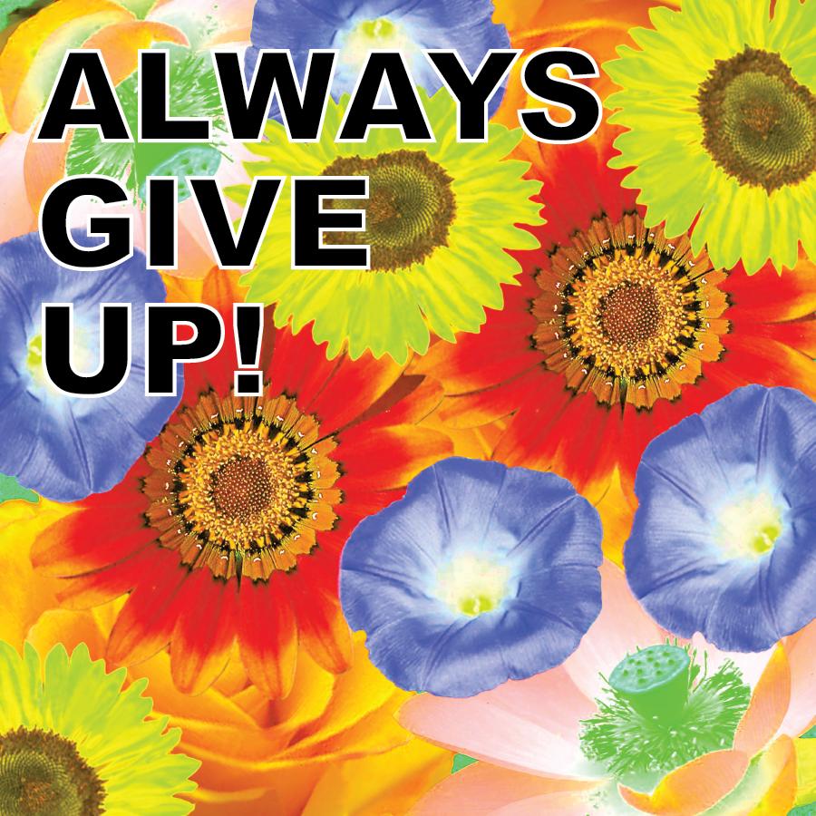 The Best Quote Ever: Always Give Up